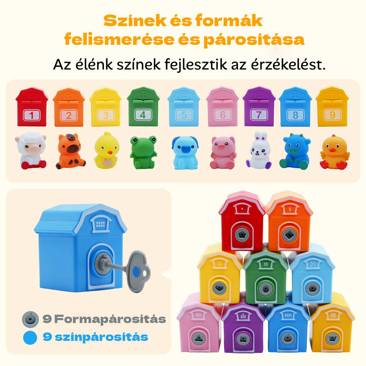 Színek és formák felismerése és párosítása